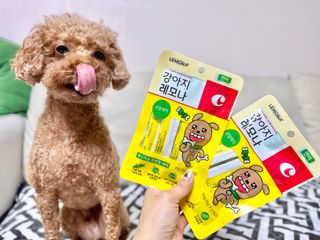 [레모나] 강아지 레모나 강아직 영양 간식 4종 택 1 — 5점을 준 리뷰어가 2023년 12월 올린 사용 사진