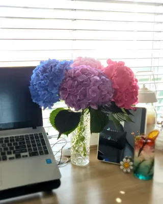 백설공주님이 올린 리뷰 사진 1
