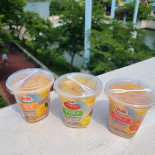 돌 MF[Dole] 파인애플컵/망고컵/복숭아컵 198g 6입X1박스 (맛 1가지 랜덤 발송) — 5점을 준 리뷰어가 2023년 6월 올린 사용 사진