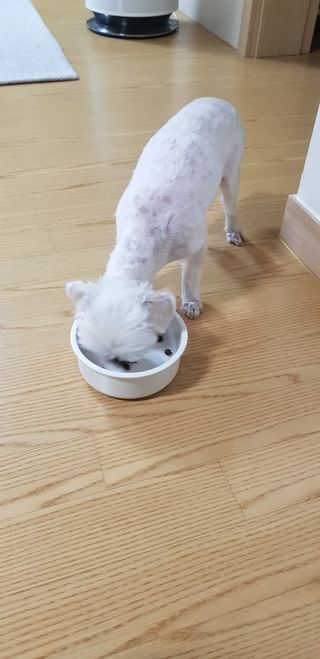 오잉님이 올린 리뷰 사진 2