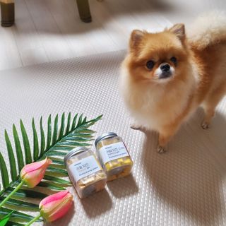 페페로니 진짜 프리바이오틱스 치즈+치즈고구마 180g+180g — 5점을 준 리뷰어가 2021년 7월 올린 사용 사진