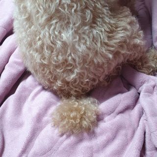 Eileen님이 올린 리뷰 사진 2