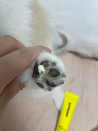 이제트님이 올린 리뷰 사진 4