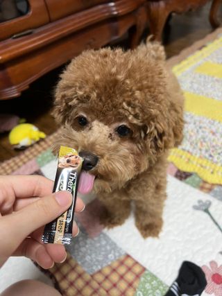 햄슨님이 올린 리뷰 사진 1