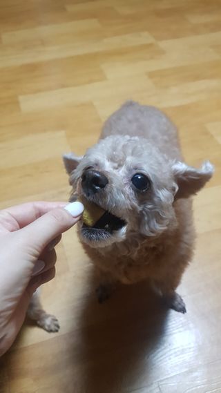 쪼꼬사랑이언니님이 올린 리뷰 사진 3