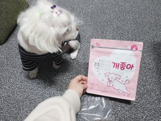 My Pet Care 천연단백질 관절건강에 개좋아 — 5점을 준 리뷰어가 2021년 1월 올린 사용 사진