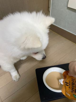 엠마J님이 올린 리뷰 사진 3
