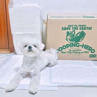 펭뽀꾸님이 올린 리뷰 사진 3