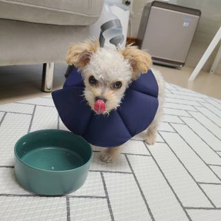 bbingbbing_e님이 올린 리뷰 사진 3