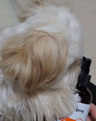 꼬꼬마눈사람님이 올린 리뷰 사진 3