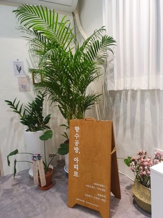 Koo님이 올린 리뷰 사진 1