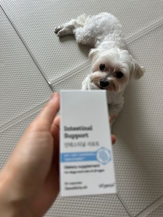 댕댕이님이 올린 리뷰 사진 1
