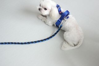 희온느님이 올린 리뷰 사진 1
