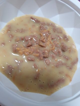 비타크래프트 포에시 델리스 고양이 파우치 85g 9가지맛 1팩씩 — 5점을 준 리뷰어가 2021년 8월 올린 사용 사진