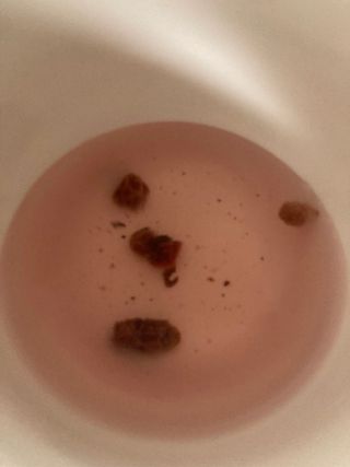럽티네버님이 올린 리뷰 사진 2
