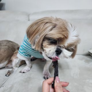 민준맘님이 올린 리뷰 사진 3