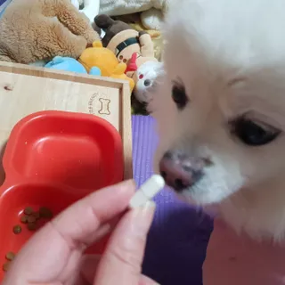 바나나님이 올린 리뷰 사진 3