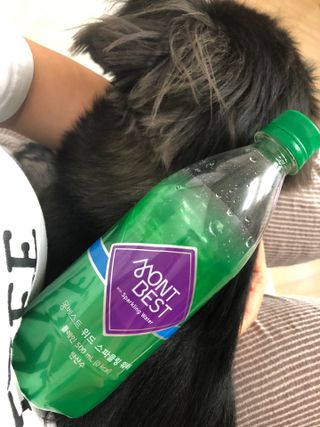 몽베스트 Montbest with Sparkling water Plain 20병 — 5점을 준 리뷰어가 2021년 11월 올린 사용 사진