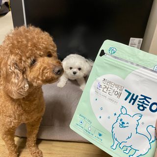 My Pet Care 천연단백질 눈건강에 개좋아 — 5점을 준 리뷰어가 2021년 3월 올린 사용 사진