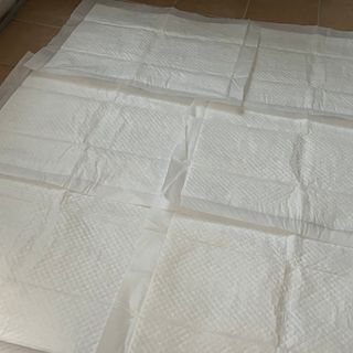 수지님이 올린 리뷰 사진 1