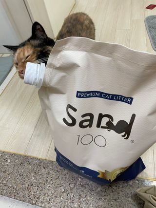 양집사님이 올린 리뷰 사진 4