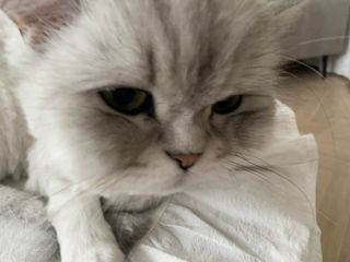 단발소녀님이 올린 리뷰 사진 3