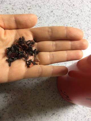 마시다 붉은 석양 빛을 담은 프리미엄 수제 블렌딩 홍차, 레드선셋블랙티 — 4.5점을 준 리뷰어가 2021년 3월 올린 사용 사진