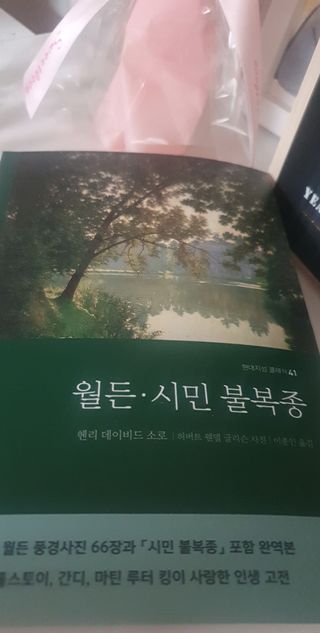 써니님이 올린 리뷰 사진 1