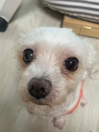 김주은님이 올린 리뷰 사진 4