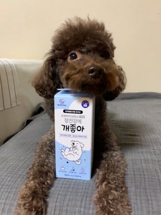 콩지님이 올린 리뷰 사진 2