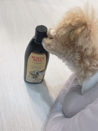 문근영실😊님이 올린 리뷰 사진 3