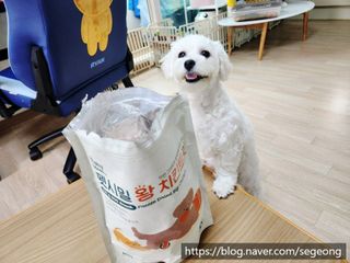 [펫시밀] 원물그대로 영양듬뿍 동결건조 왕북어트릿300g,왕치킨트릿400g,열빙어트릿300g 대용량 간식 — 5점을 준 리뷰어가 2023년 5월 올린 사용 사진