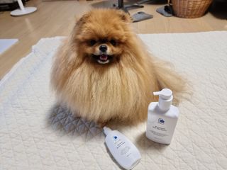 아롱이님이 올린 리뷰 사진 2
