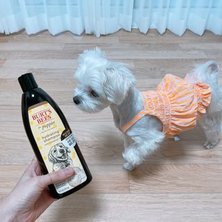 yuseon님이 올린 리뷰 사진 3