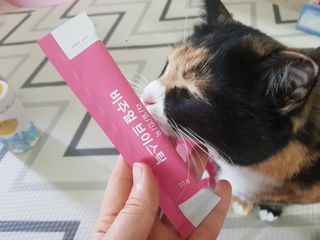 필리브 비주얼 브이스틱 — 5점을 준 리뷰어가 2021년 6월 올린 사용 사진
