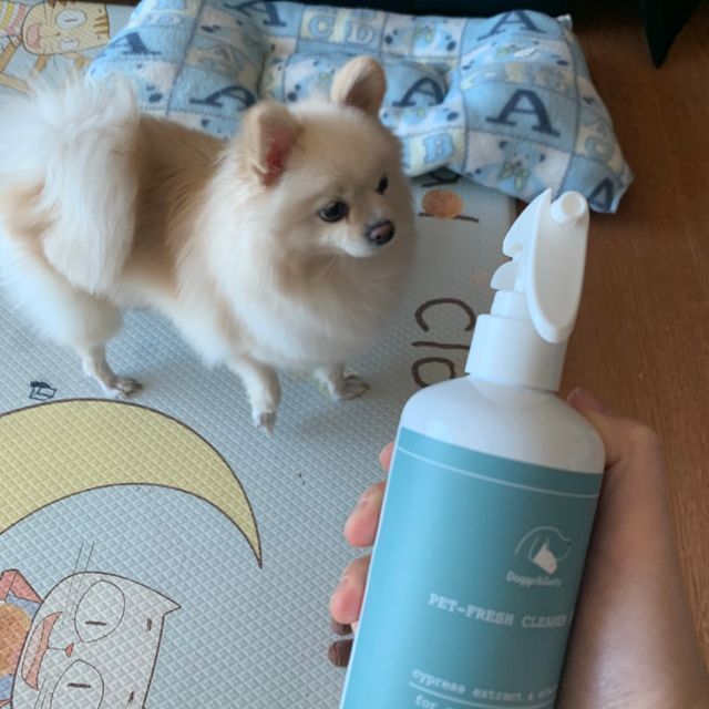 펫 프레시 클리너 스프레이 리뷰 사진