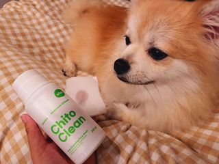whol 키토클린 200ml - 항균항바이러스 강아지 눈 코 입 귀 세정탈취 고양이 턱드름제거 무향 워터리스 대용량 — 5점을 준 리뷰어가 2022년 10월 올린 사용 사진