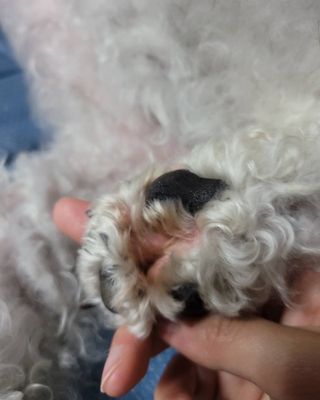 lemoniee님이 올린 리뷰 사진 3