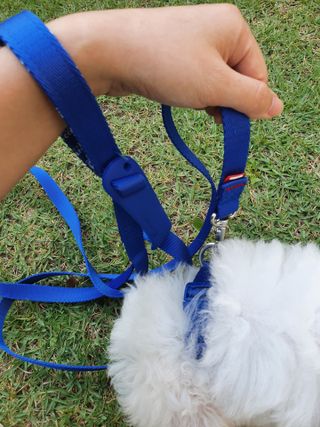 엘쏘둥님이 올린 리뷰 사진 2
