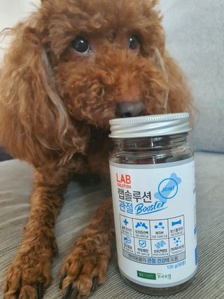 호호엄마님이 올린 리뷰 사진 4