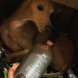 마리앤루이펫샴푸 [mari and louie pet shampoo] — 5점을 준 리뷰어가 2021년 6월 올린 사용 사진