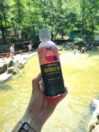 더그레잇티 콤부차 300ml *12개입 (오리지널 6개+베리리치 6개) — 5점을 준 리뷰어가 2022년 7월 올린 사용 사진
