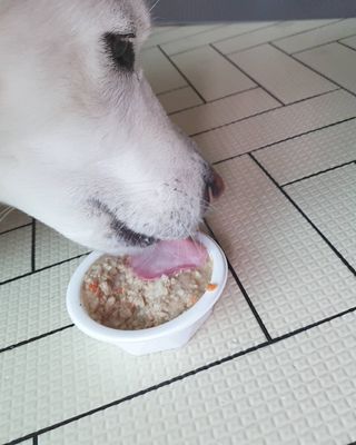 딸랑구둘🥰님이 올린 리뷰 사진 3