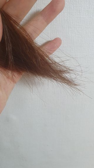 뜽헌찌님이 올린 리뷰 사진 3