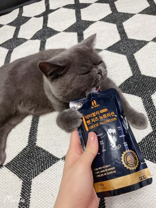 sehee님이 올린 리뷰 사진 2