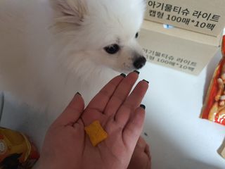 빵슬님이 올린 리뷰 사진 4