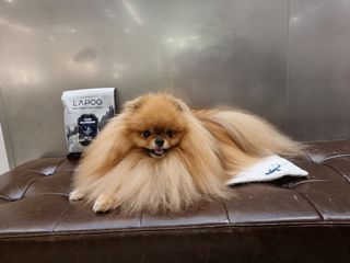 [푸디웜] 라포그 리얼인섹트 소프트키블 스킨 1KG — 5점을 준 리뷰어가 2022년 9월 올린 사용 사진