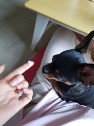정은주님이 올린 리뷰 사진 2