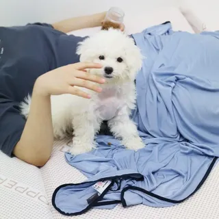 이쁘니님이 올린 리뷰 사진 3