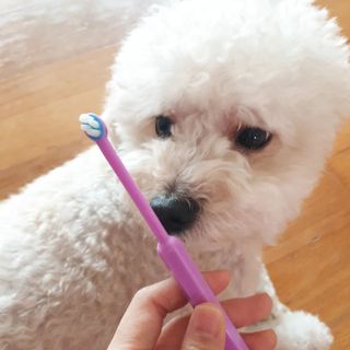 민동2님이 올린 리뷰 사진 2
